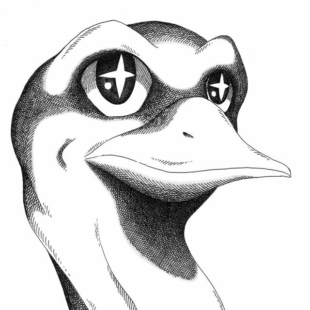 Album cover art for Coyote Lily