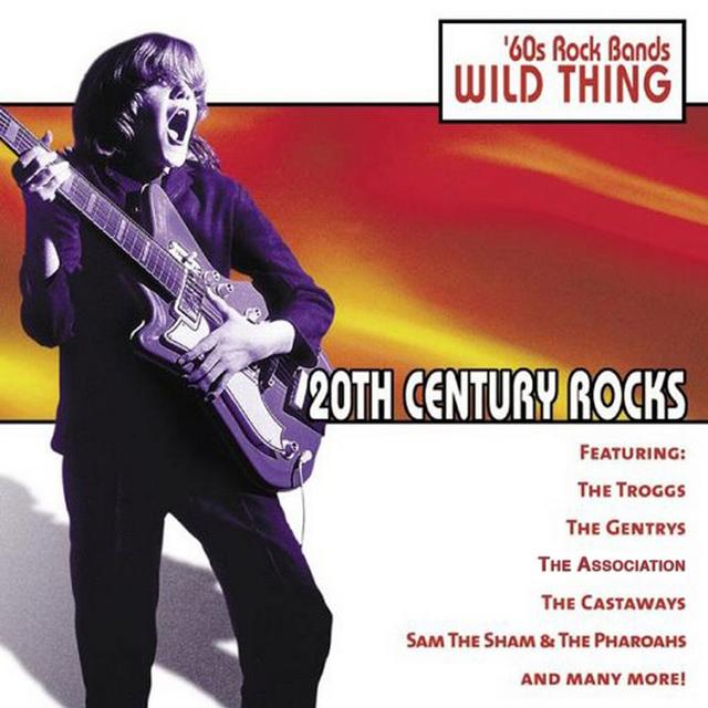 Album cover art for 20th Century Rocks: 60's Rock Bands - Wild Thing