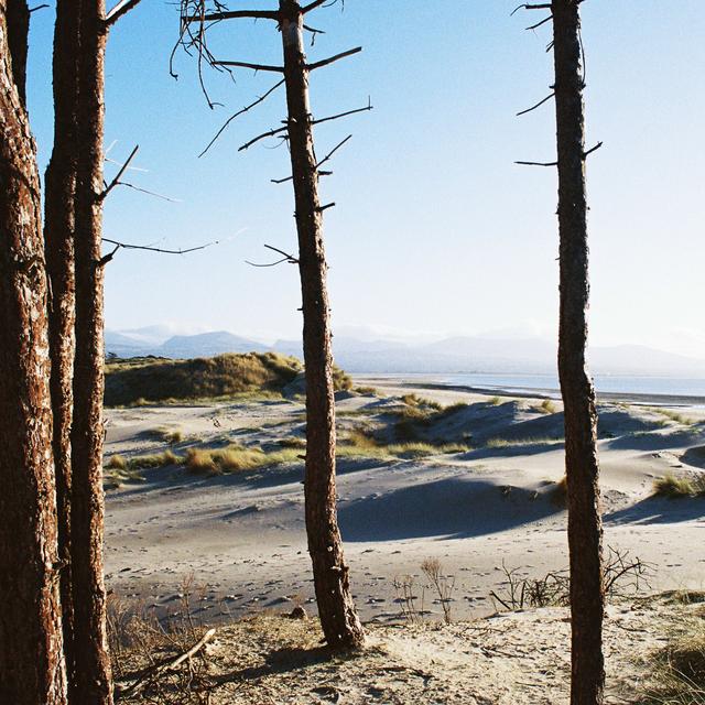 Album cover art for Primordial Slot Machine