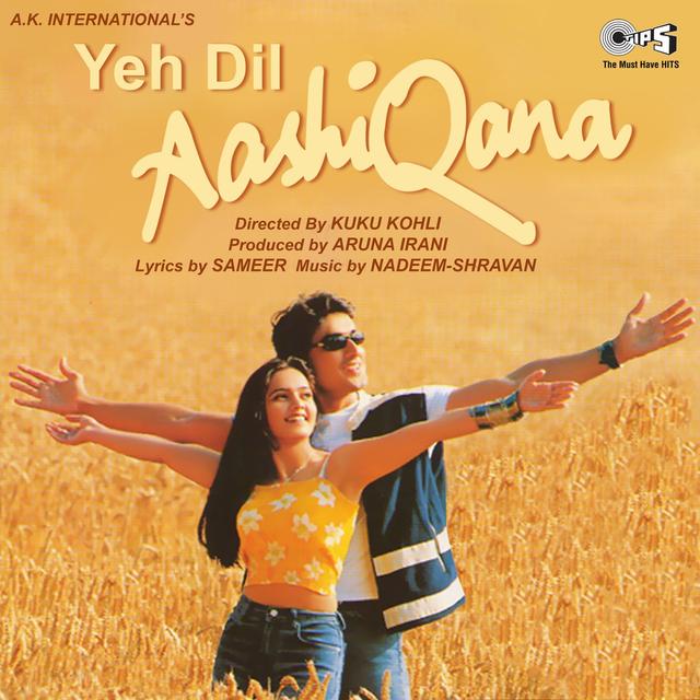 Album cover art for Yeh Dil Aashiqana (Original Motion Picture Soundtrack)