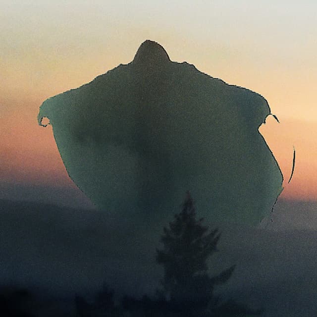 Album cover art for Apollon