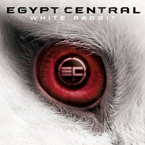 Album cover art for White Rabbit