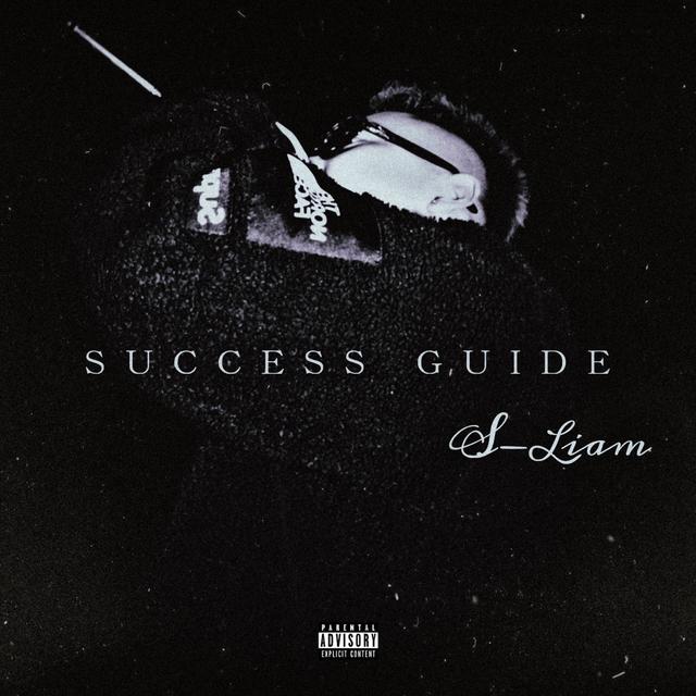 Album cover art for SUCCESS GUIDE