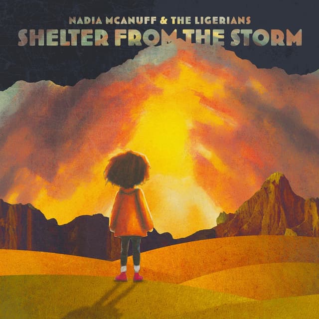 Album cover art for Shelter From The Storm