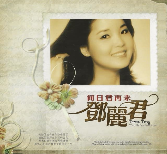 Album cover art for 何日君再来