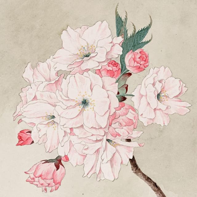 Album cover art for Miracle