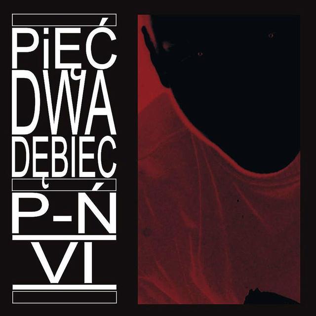 Album cover art for P-Ń VI