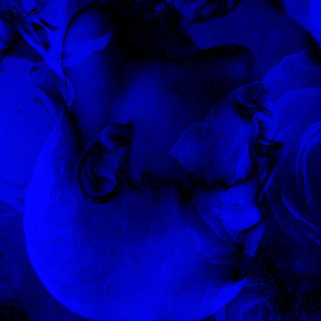 Album cover art for Down