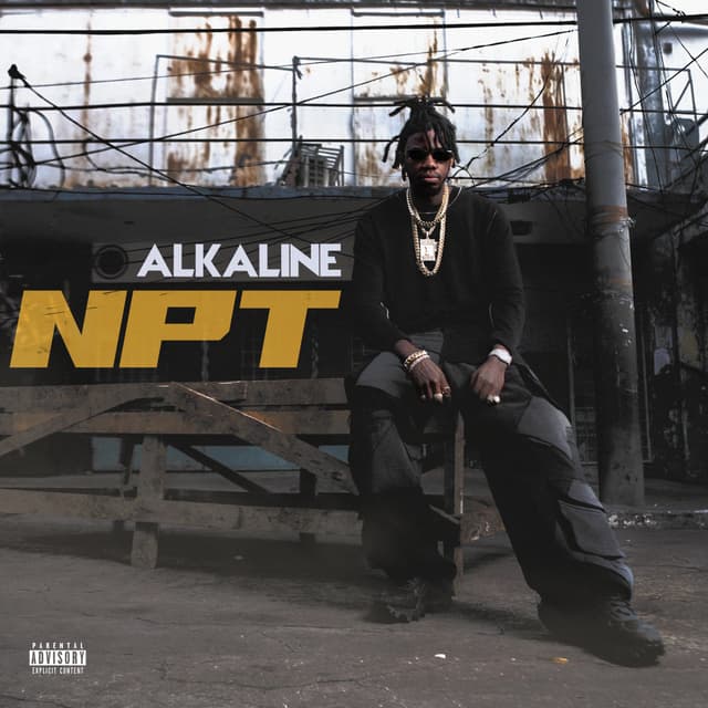 Album cover art for NPT