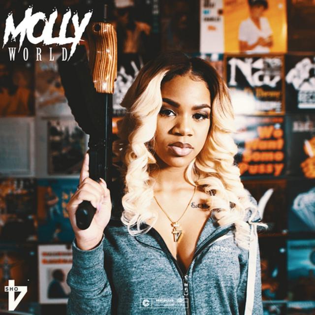 Album cover art for Molly World
