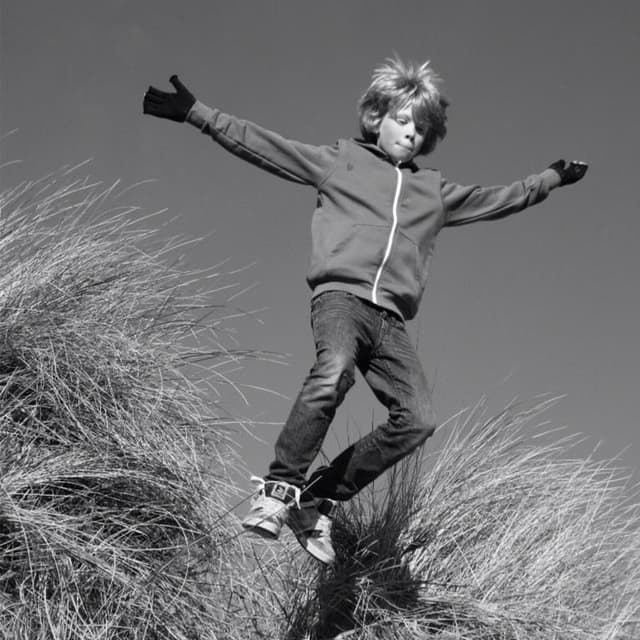 Album cover art for Dive In