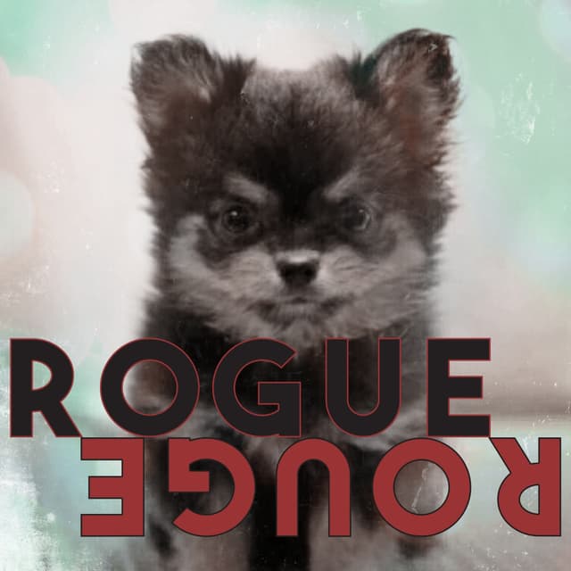 Album cover art for Rogue Rouge