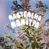 пастельна палітра