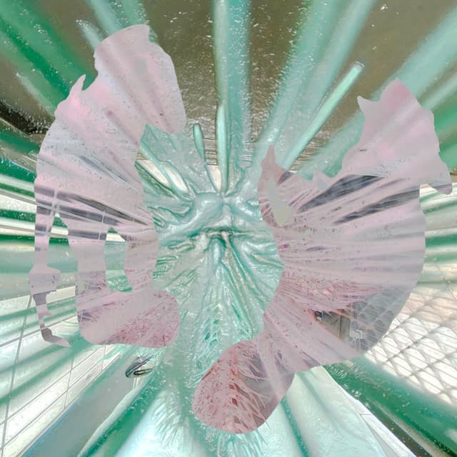 Album cover art for 5sec