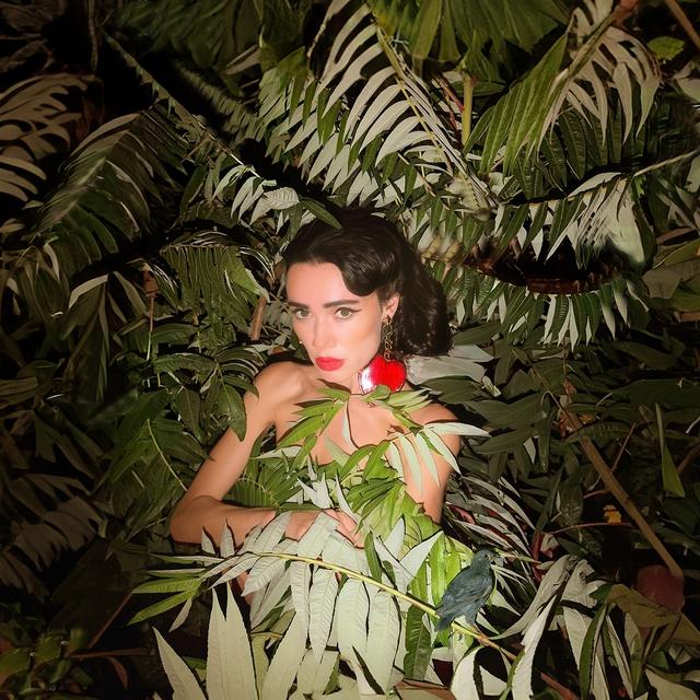 Album cover art for Культурне диско