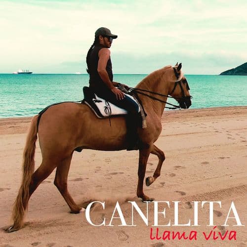 Album cover art for Llama viva
