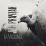 Mandionei