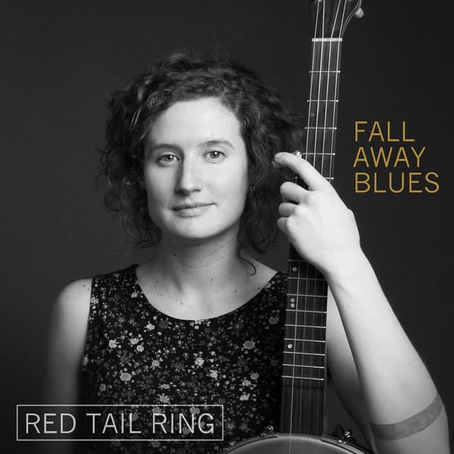 Album cover art for Fall Away Blues