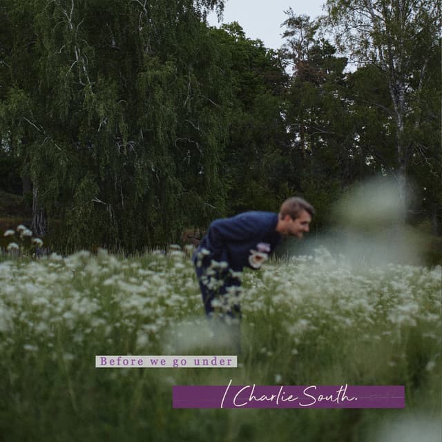 Album cover art for Before We Go Under