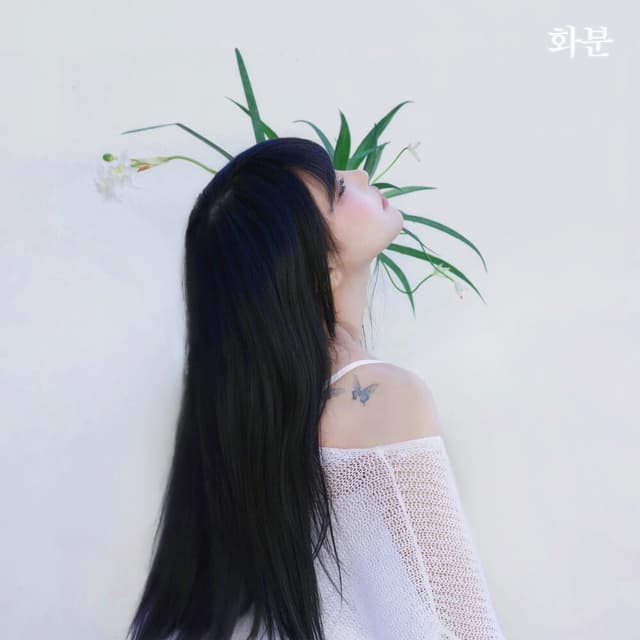 Album cover art for 화분