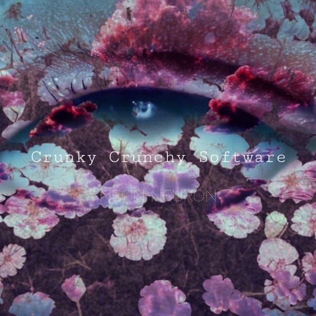 Album cover art for Crunky Crunchy Software