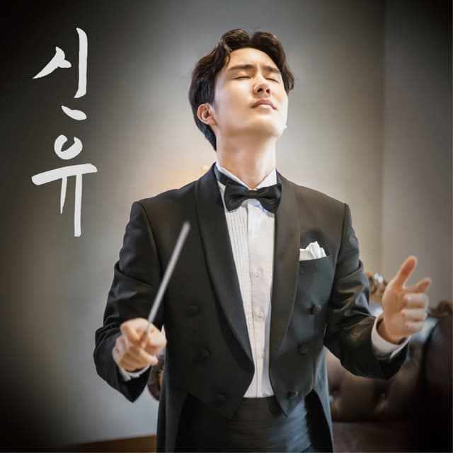Album cover art for 신유 6집