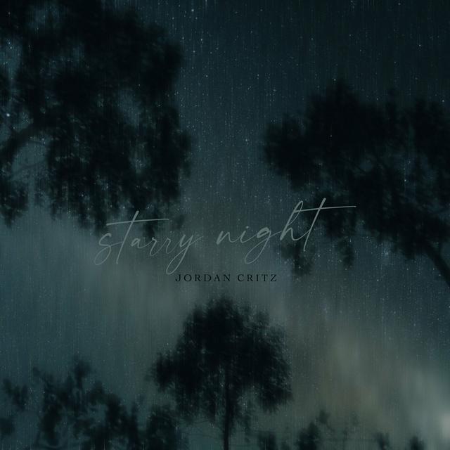 Album cover art for Starry Night
