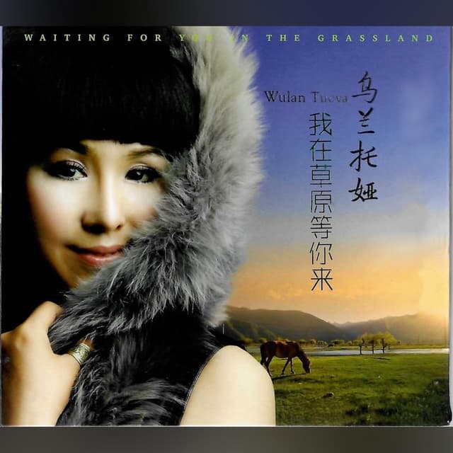 Album cover art for 我在草原等你来