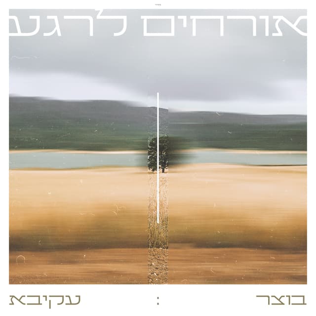 Album cover art for אורחים לרגע