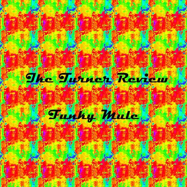 Album cover art for Funky Mule