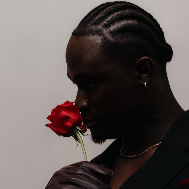 Album cover art for La Vie en Rouge