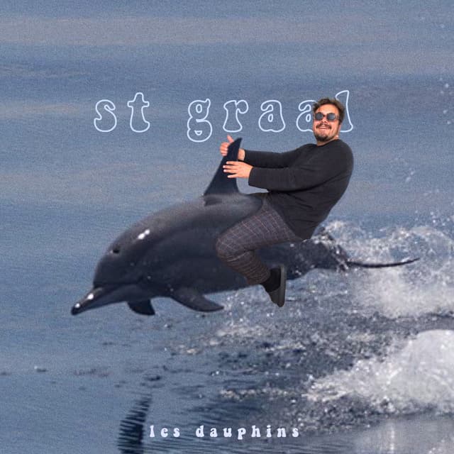 Album cover art for Les Dauphins