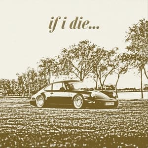 Album cover art for if i die...