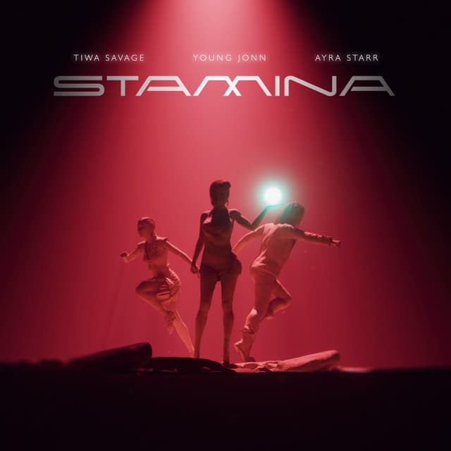 Album cover art for Stamina
