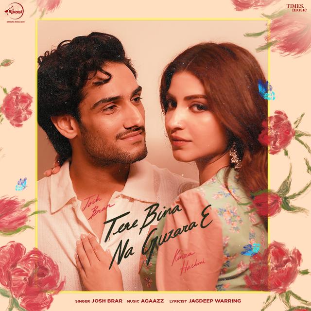 Album cover art for Tere Bina Na Guzara E