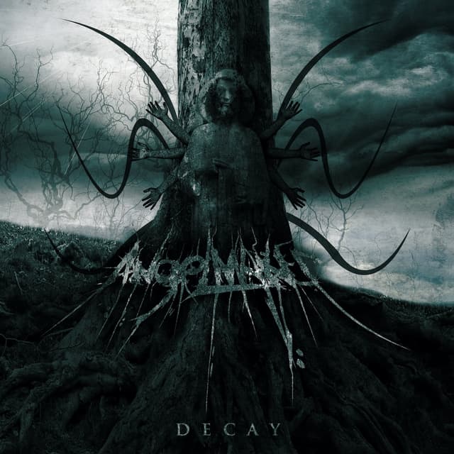 Album cover art for Decay