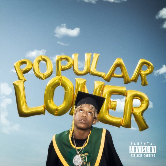 Album cover art for Popular Loner