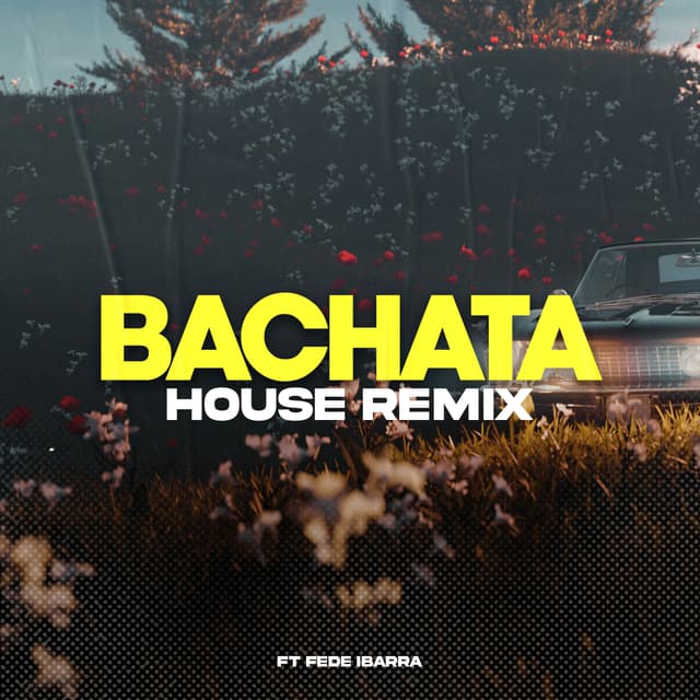 Album cover art for Bachata
