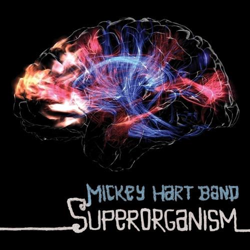 Superorganism