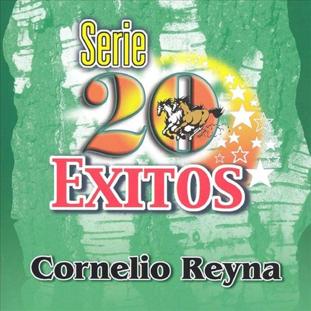 Album cover art for Serie 20 Exitos