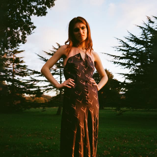 Album cover art for Head of the Love Club