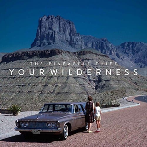 Album cover art for Your Wilderness