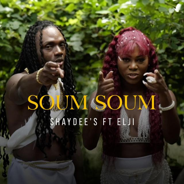 Album cover art for Soum Soum