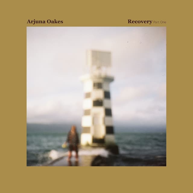Album cover art for Recovery, Pt. 1