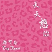 Album cover art for 天天想你