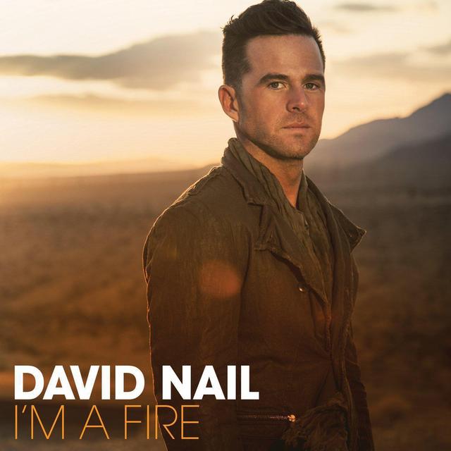 Album cover art for I'm A Fire