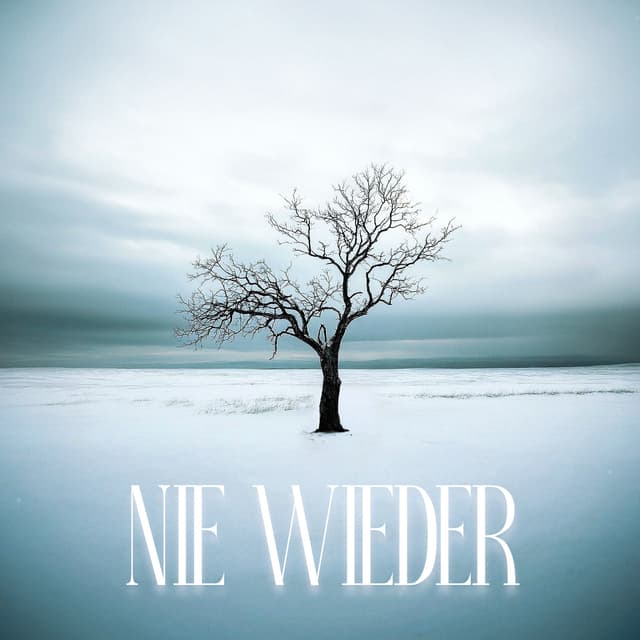 Album cover art for Nie wieder