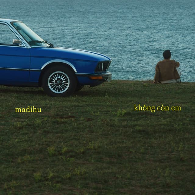 Album cover art for Không Còn Em