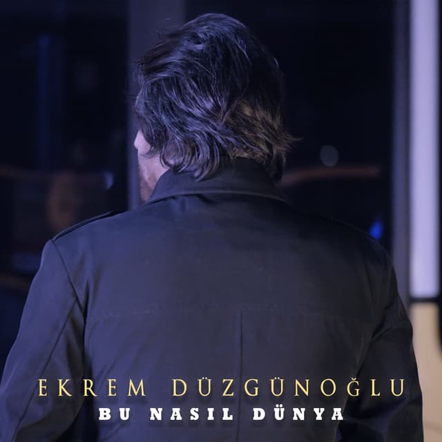 Album cover art for Bu Nasıl Dünya