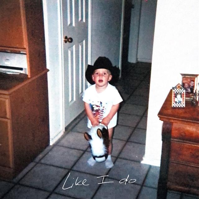 Album cover art for Like I Do